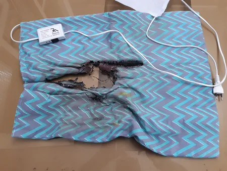 تشک برقی راویس مدل 001