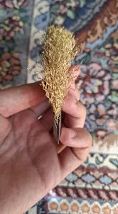 تجریه خرید فرچه سیمی مدل F22