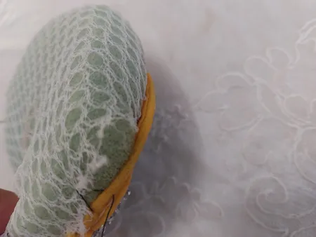 اسکاچ روستر مدل 316 بسته 10 عددی