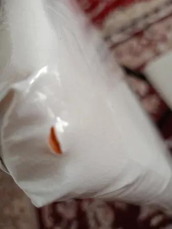 میز و صندلی تحریر سپهر یاس مدل 002