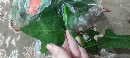 گل مصنوعی مدل ریسه برگ طرح انگور کد PAL-3030