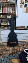 گیتار پارسی مدل M2