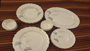 تجریه خرید سرویس غذاخوری 25 پارچه 6 نفر آیروپال مدل اودیسه