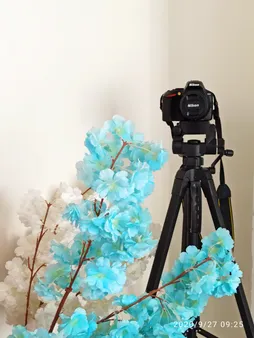 سه پایه دوربین ویفنگ مدل WT-3560