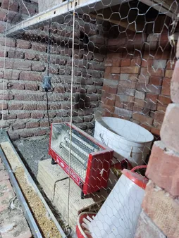 ترموستات کنترلر دما دیجیتال مدل W3001_220AC