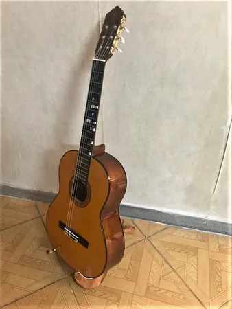 پایه گیتار چوبیس کد 602