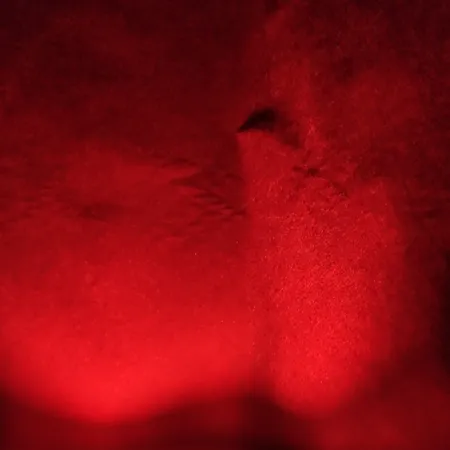 فون عکاسی کروماکی لند مدل M کد 400-250