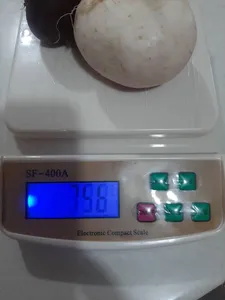 تجریه خرید ترازو اشپزخانه مدل SF-400A