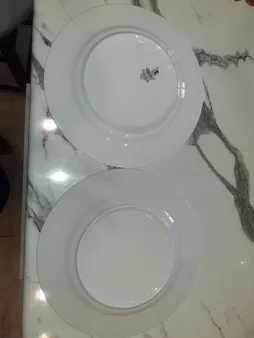 بشقاب غذاخوری چینی زرین ایران مدل ایتالیا اف بسته 6 عددی