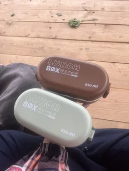 ظرف غذا مدل چنار