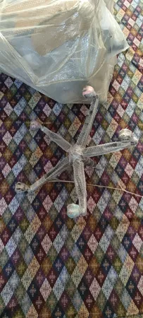 صندلی گیمینگ کاد گستر مدل VIP G2022