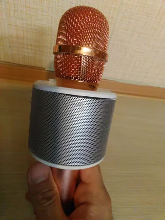 میکروفون اسباب بازی مدل WS-858