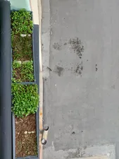 تجریه خرید بذر سبزی خوراکی فصل سبز کد SEED-FS-08 مجموعه 8 عددی