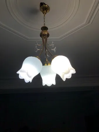 لوستر دیلایت طرح گیلاسی کد AZ1402/3-DLT780