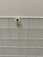 تجریه خرید گیره عکس کد Fr626 بسته 50 عددی