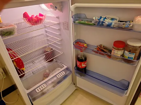 یخچال فریزر 14 فوت فیلور مدل PH14D