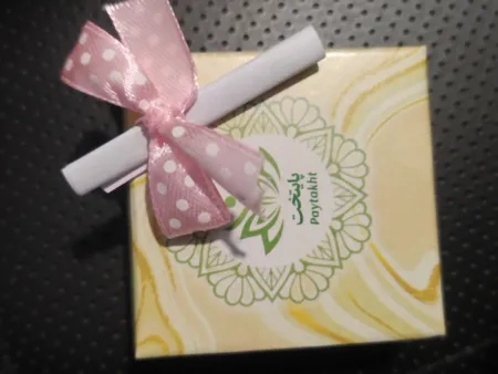 پیرسینگ بینی زنانه پایتخت مدل PS637