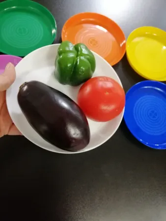 بشقاب مدل NEW KALAS کد 1103 بسته 6 عددی