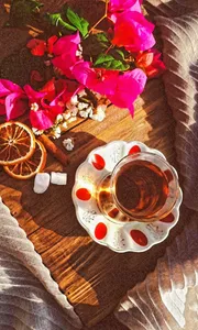 تجریه خرید ست استکان نعلبکی 12پارچه کاوه سری گلجام کد 218