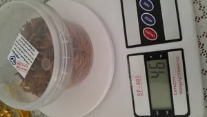 تجریه خرید غذای تشویقی همستر ولکانو میلورم کد MWH60 وزن 60 گرم