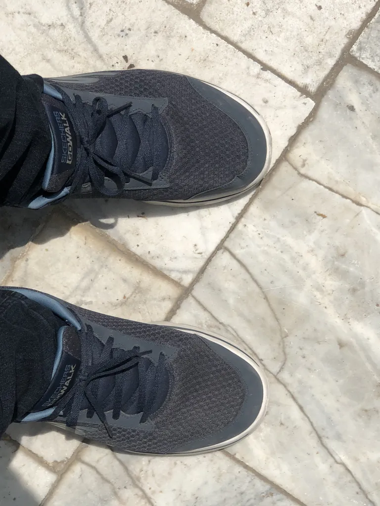 کفش پیاده روی اسکچرز مدل 55509 NVY