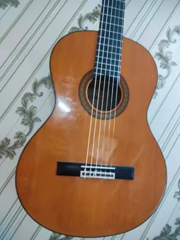 سیم گیتار کلاسیک الیس مدل A106-H