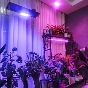 تجریه خرید وال واشر رشد گیاه 36 وات مدل W