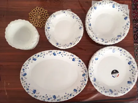 سرویس غذاخوری 25 پارچه 6 نفره گلدن اوپال مدل شاخه نبات کد Carine