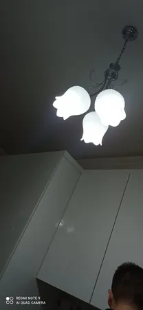 لوستر دیلایت طرح گیلاسی کد AZ1402/3-DLT780