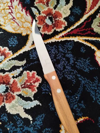 چاقو آشپزخانه فنگ اند فنگ مدل دسته چوبی کد 2002