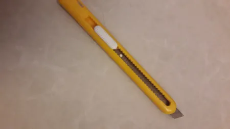 کاتر دلی مدل 2025