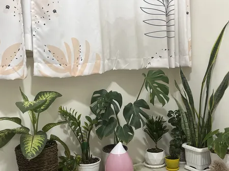 بخور سرد مدل HUMIDIFIER