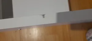 تجریه خرید تخت خواب یک نفره مدل شلف سایز 90×200 سانتی متر