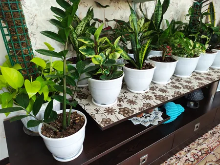 گلدان طرح ارکیده کد 164