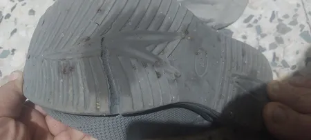 کفش راحتی سارزی مدل SAYT_t.o.s_V.S