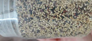 تجریه خرید کینوا 3 رنگ ممتاز سرمد - 400 گرم