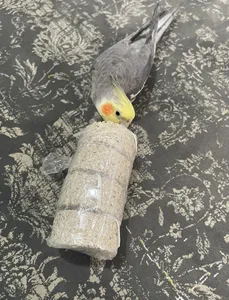 تجریه خرید بلوک معدنی پرندگان مدل N175 وزن 460 گرم  بسته 4 عددی