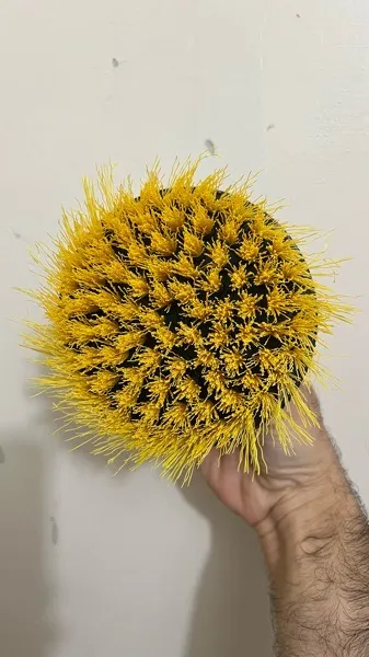 فرچه سردریلی آذین براش مدل A31