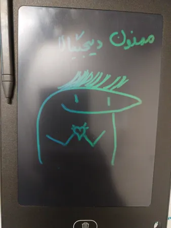 کاغذ دیجیتالی مدل LCD 8.5