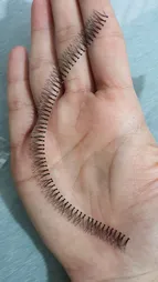 مژه مصنوعی مدل 01