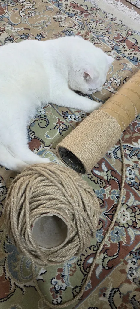 نخ کنفی مدل 8میل طول 100 متر