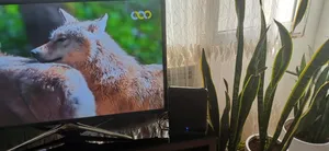 تجریه خرید آنتن رومیزی فروزش مدل Galaxy-10m