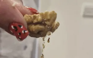 تجریه خرید مغز گردو ایرانی اکبر راستگو -450 گرم