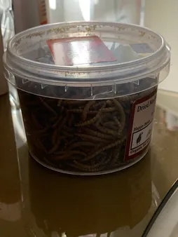 تشویقی مرغ مینا فود فارمز لند مدل میل ورم وزن 50 گرم