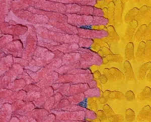 تجریه خرید یدک زمین شوی تی پاک مدل چنیلی میکروفایبر کد 300204