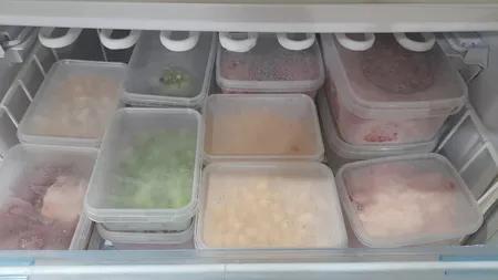 ظرف نگهدارنده رادین پلاستیک مدل 0003 بسته 20 عددی