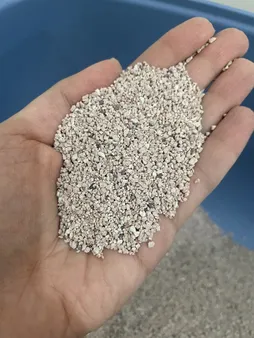 خاک بستر گربه تاینی کت مدل P1 وزن 10 کیلوگرم