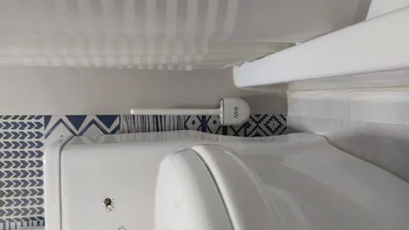 برس توالت شوی آلتوس مدل سیلیکونی