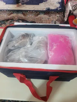 یخدان سفری مدل 20L گنجایش 20 لیتر