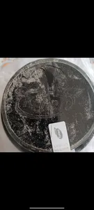 تجریه خرید پودر پروتئین با طعم شکلات کاله پرو - 1800 گرم